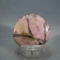 Rhodonite Polished Flat Tumblestone ~41mm