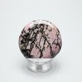 Rhodonite Polished Flat Tumblestone ~44mm