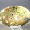 Rhyolite Palmstone (Extra Grade) ~70x50mm