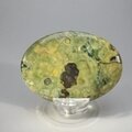 Rhyolite Palmstone (Extra Grade) ~70x50mm