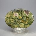 Rhyolite Palmstone (Extra Grade) ~70x50mm