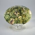 Rhyolite Palmstone (Extra Grade) ~70x50mm