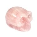 Rose Quartz Crystal Skull ~5cm