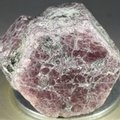 Ruby Healing Crystal ~25mm