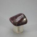 Ruby Tumblestone ~31mm