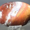Sardonyx Palmstone (Extra Grade) ~70x50mm