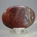 Sardonyx Palmstone (Extra Grade) ~70x50mm
