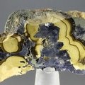 Schalenblende Polished Slice ~45mm