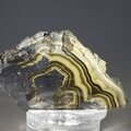 Schalenblende Polished Slice ~45mm