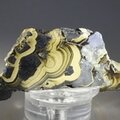 Schalenblende Polished Slice ~52mm