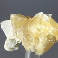 Scheelite Healing Crystal ~33mm