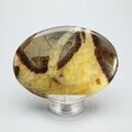 Septarian Palmstone (Extra Grade) ~70x50mm