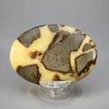 Septarian Palmstone (Extra Grade) ~70x50mm