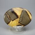 Septarian Palmstone (Extra Grade) ~70x50mm