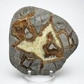 Septarian Polished Nodule ~10cm