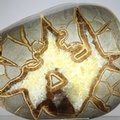 Septarian Polished Nodule ~11cm