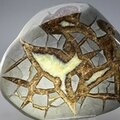 Septarian Polished Nodule ~11cm
