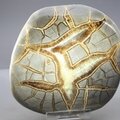 Septarian Polished Nodule ~11cm