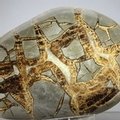 Septarian Polished Nodule ~12.5cm