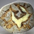 Septarian Polished Nodule ~12.5cm