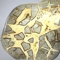 Septarian Polished Nodule ~12cm