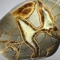 Septarian Polished Nodule ~12cm