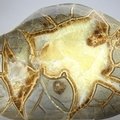 Septarian Polished Nodule ~13.5cm