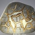 Septarian Polished Nodule ~13cm