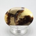 Septarian Thumbstone ~40x30mm