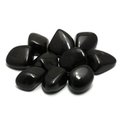 Shamanite Tumble Stone (20-25mm)