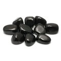 Shungite Tumble Stone (20-25mm)