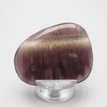 Smoky Fluorite Flat Tumblestone ~47mm