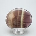 Smoky Fluorite Flat Tumblestone ~55mm