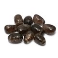 Smoky Quartz Drilled Tumble Stone