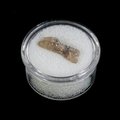 Smoky Topaz Healing Crystal