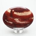 Snakeskin Jasper Palm Stone
