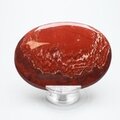 Snakeskin Jasper Palmstone (Extra Grade) ~70x50mm