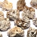 Snow Baryte Mineral Specimen ~40mm