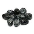 Snowflake Obsidian Drilled Tumble Stone