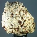 Spessartine Garnet Mineral Specimen ~59mm