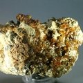 Spessartine Garnet Mineral Specimen ~83mm