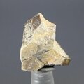 Staurolite Healing Crystal ~21mm