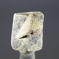 Staurolite Healing Crystal ~23mm