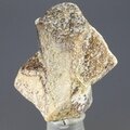 Staurolite Healing Crystal ~24mm