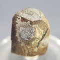 Staurolite Healing Crystal ~25mm