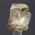 Staurolite Healing Crystal ~25mm