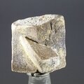 Staurolite Healing Crystal ~25mm