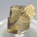 Staurolite Healing Crystal ~26mm