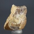 Staurolite Healing Crystal ~28mm