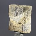 Staurolite Healing Crystal ~30mm